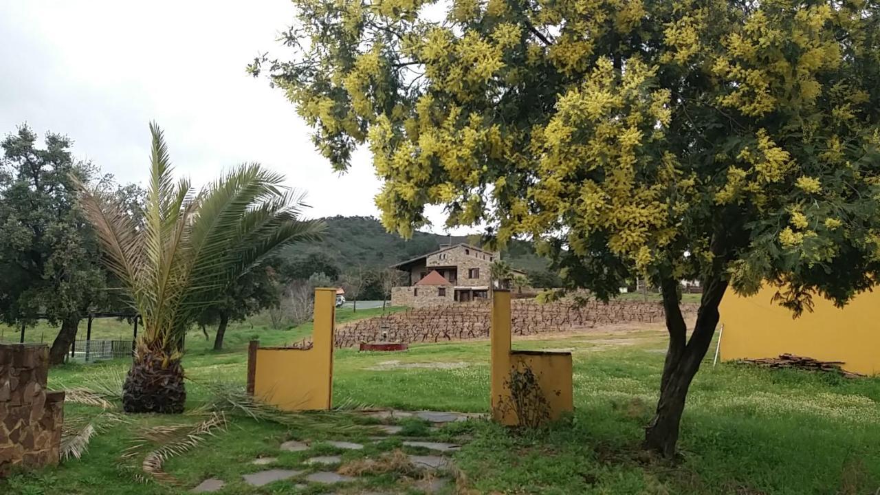 卡米诺德尔阿连特茹农家乐 La Codosera 外观 照片